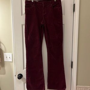 GAP Maroon Corduroy Boot Cut Pants